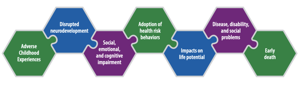 cdc socialdeterminants curaJOY